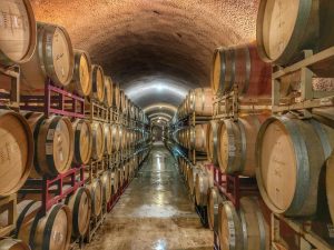 Just imagine people posting about their everyday experience at your winery or vineyard.